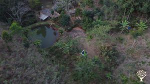 A family agroecology garden e aromatic field