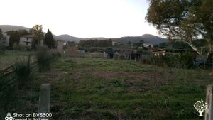 Azienda agricola biologica non certificata