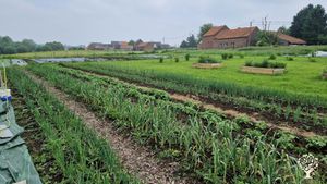 Petite ferme juste à côté de Bruxelles (accessible en métro), maraîchage bio (non certifié)