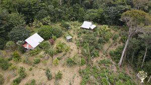 Pépinière modeste en agroforesterie