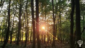 Small community working on permaculture and Christian spirituality