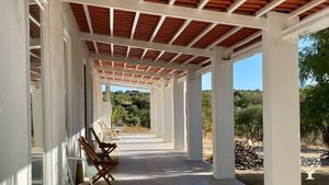 Quinta with organic olive grove where rustic charm meets modern comfort
