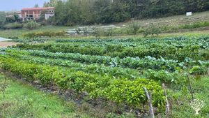 Orto biointensivo in Astesana