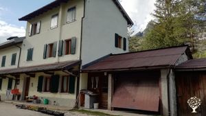 Azienda agricola situata nelle Dolomiti, produce piante officinali, piccoli frutti ed alleva api