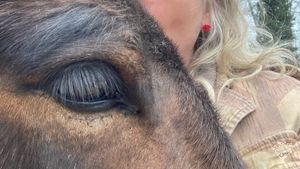 Hobby Farm, Horse Ranch, Woodlot, Family farm, Animal Rescue