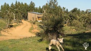 Off-Grid Farm in Alentejo