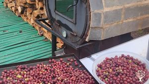 Family home and garden - rural