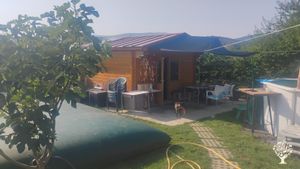 Pequeña granja ecológica.
Little farm.
Petite ferme.