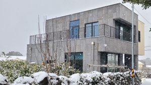 <JJ128> 유기농 귤 과수원 / Meadow Orchard