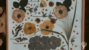 A small traditional cottage, around 100 years old, without electricity or running water.