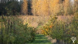 An agro-ecological farm with fruits, vegetables, sheep, apple cider production and a farm shop