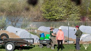 Diversified, regenerative agriculture farm with animals, orchards, and Farm Share program