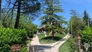 Piccola fattoria e rifugio per animali, colonia felina, b&b, bosco, uliveto, autoproduzione.
