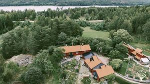A small permaculture farm with vegetables, flowers, agroforestry, hens and occasional public events