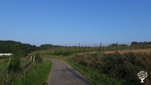 Culture de houblon bio en agroécologie