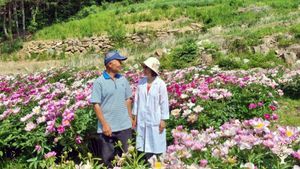 <GG101>쉼과 기쁨 평화 유기농 농장 / Rest, Joy, and Peace Organic Farm