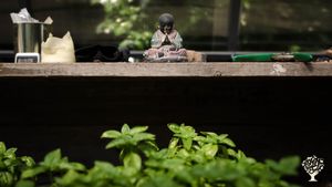 Communal Living Group