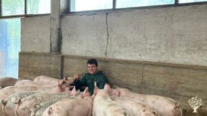 Ökologische Landwirtschaft am Fuße der Alpen mit eigener Alm