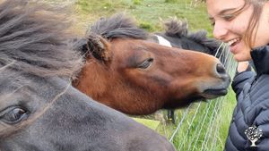 Historic House and organic vegetable garden