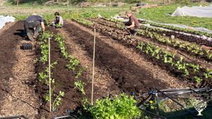 Escape to the countryside at our small-scale organic farm. Welcome to the season of 2025!