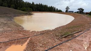 Build mud houses and grow plants and trees in a self sustainable non-profit community in Alentejo