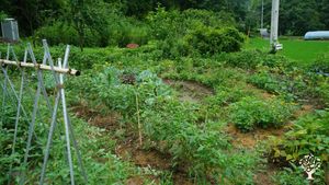 <JN129>다양한 생명들이 역동하는 조화로운 세상을 꿈꿉니다 / We Dream of a Harmonious World Where Diverse Lives Thrive Dynam