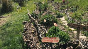 Azienda agracola
