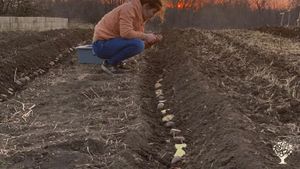 Sustainable, Year-Round Membership Farm Raising Beef, Pork, Dairy, Chicken, Vegetables, Fruits,