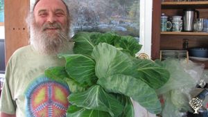 Clean air, Clean water and Organic fresh picked Veggies!