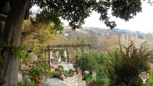 Family home and garden - rural
