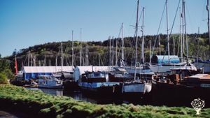 House and garden, allotment group, campsite