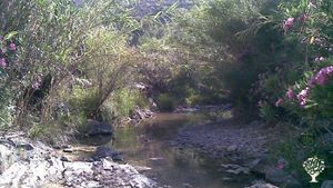 Granja ecologica en Guaro (Málaga)