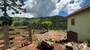 Café Agroecológico