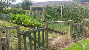 On Offas Dyke in Llanfynydd with mix of habitats plus vegetable and fruit production.