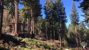 Small off-grid homestead in the hills of Cazadero, a small town in Western Sonoma County
