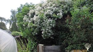 Smallholding including orchard and gardens