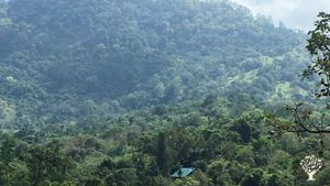 A permaculture fruit forest and cinnamon plantation offering paddy farming and eco-glamping.
