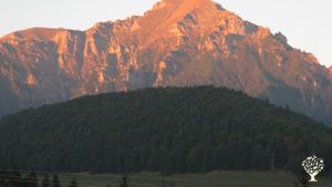 Raising and educating horses in a natural style