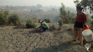 Beautiful home surrounded by mountains & forests