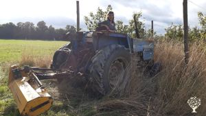 Création de ferme fruitière diversité bio
