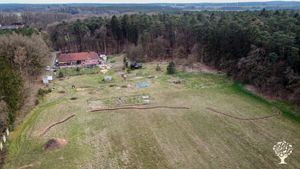 2023 - erster Gehölzstreifen auf der Höhenlinie