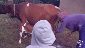 Charitable community based organization focus on economic and environmental sustainability