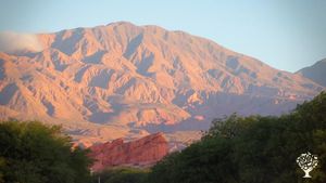 Agritourism Destination