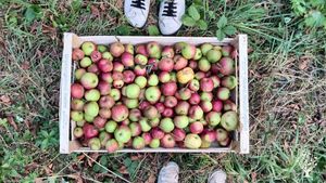 Rodinná farma na Vysočině - místo pro ubytování, relax se zvířaty a pořádání svateb