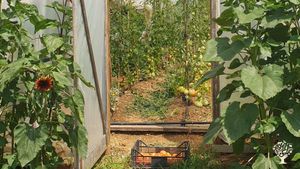 La Neira is a small family farm, a quiet country estate far away from the hustle and bustle.