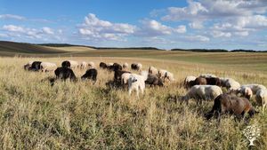 Livestock Farm, Farm