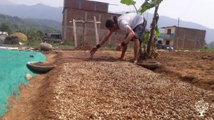 Our farm has been in operation for over 15 years.