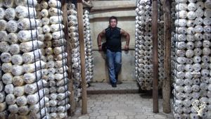 Practicing organic and regenerative farming, mushroom culture and hydroponics