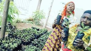This is our tree planting project for schools were we have these 2 women taking care of our nursery 