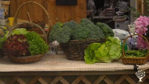 Growing over 90 different vegetables using permaculture principles selling to the Local Markets